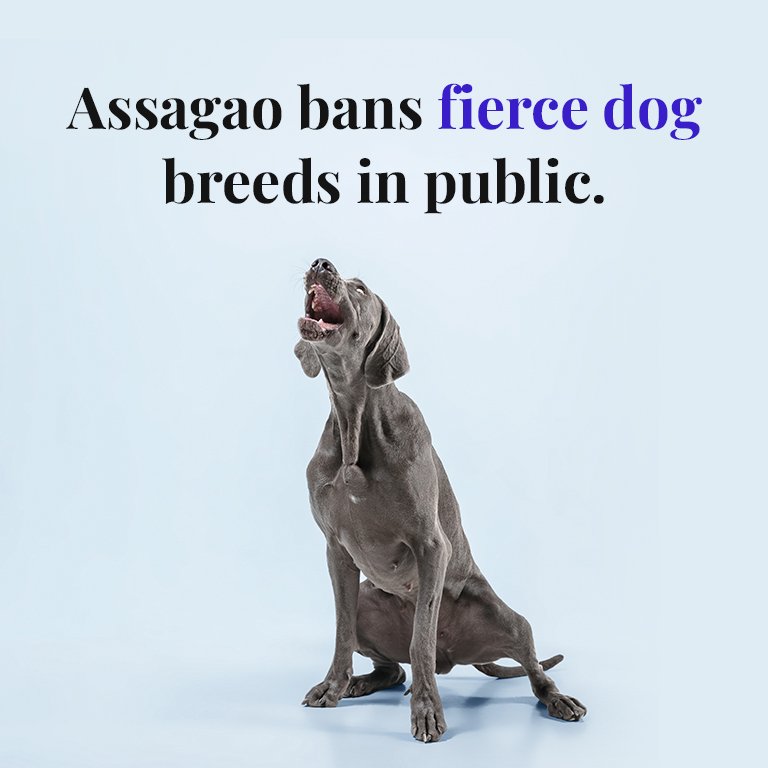 Assagao Panchayat bans fierce dog breeds