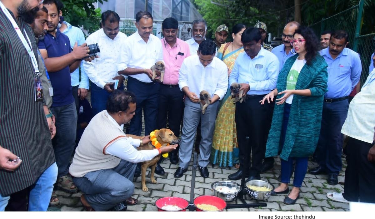 BBMP stray dog feeding