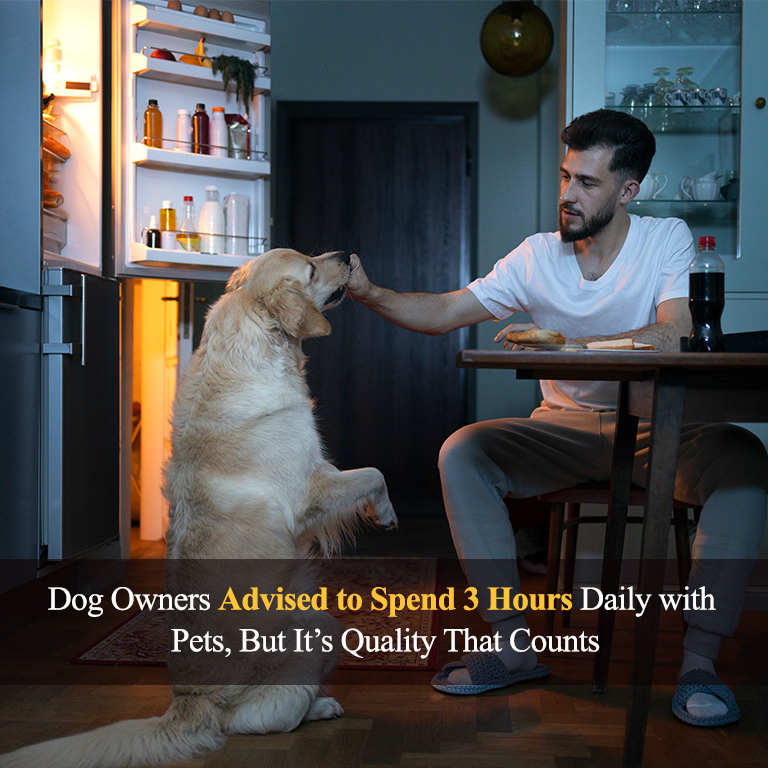 dog owners spend time