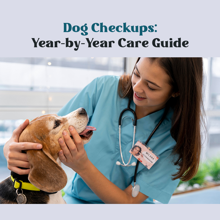dog checkups guide