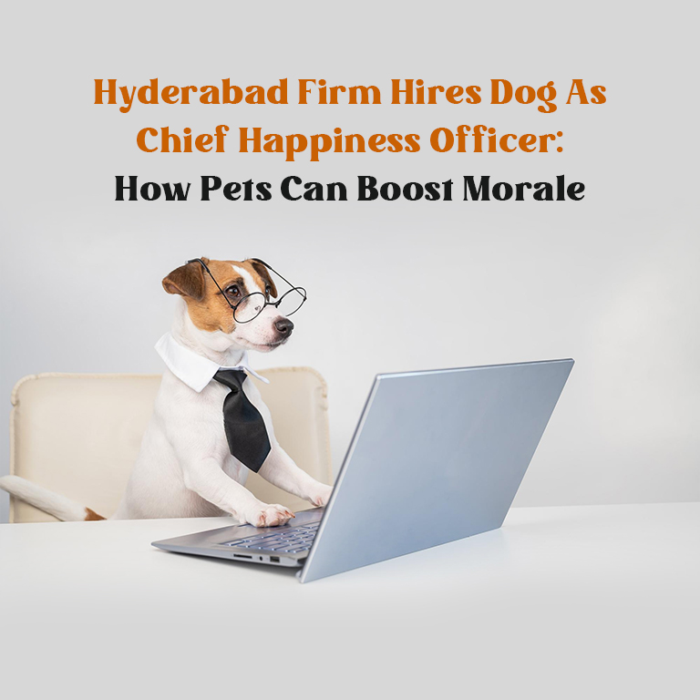 Dog Chief Happiness Officer