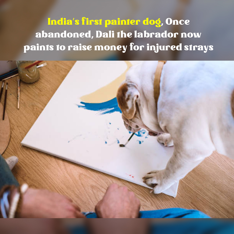 India’s first painter dog