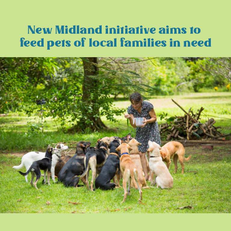 Pet Food Aid