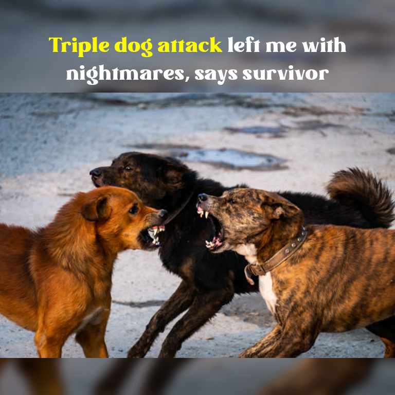 Triple dog attack