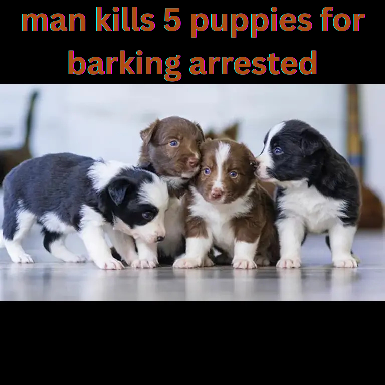 Man kills 5 puppies