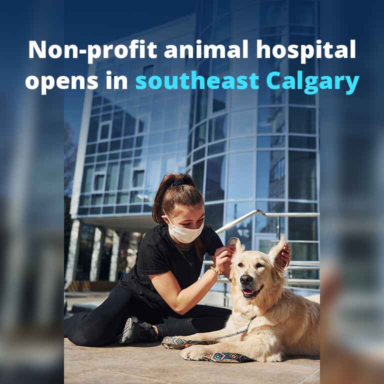 non-profit animal hospital