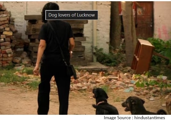 community dogs heroism