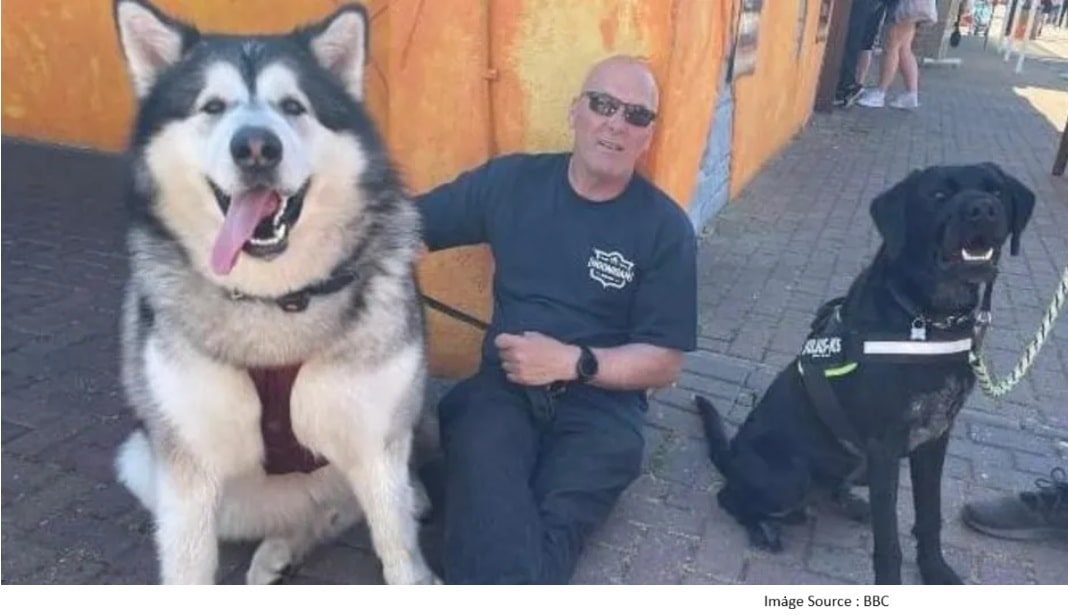 giant dog breed