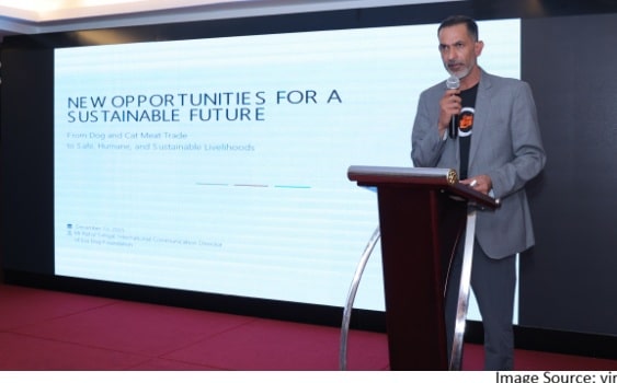 dog and cat meat trade