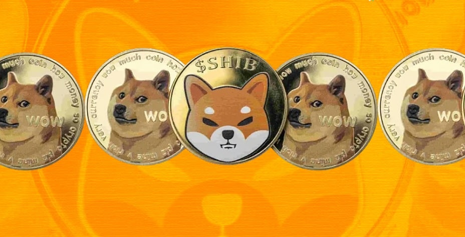Dog Meme Coins
