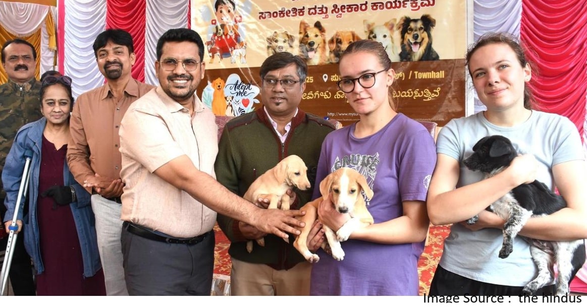 Street Dog Adoption