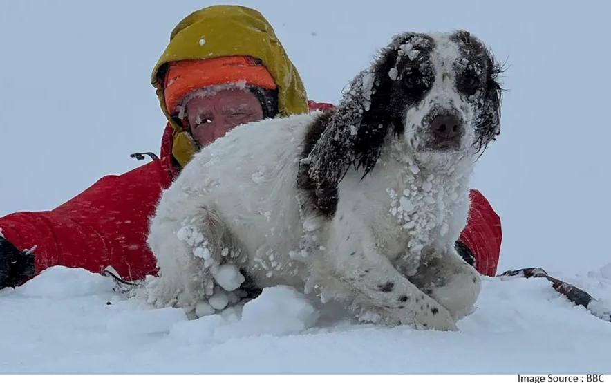Mountain Dog Rescue