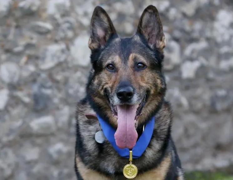 PD Finn Law