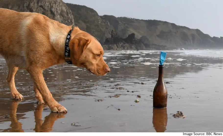 dog discovers message
