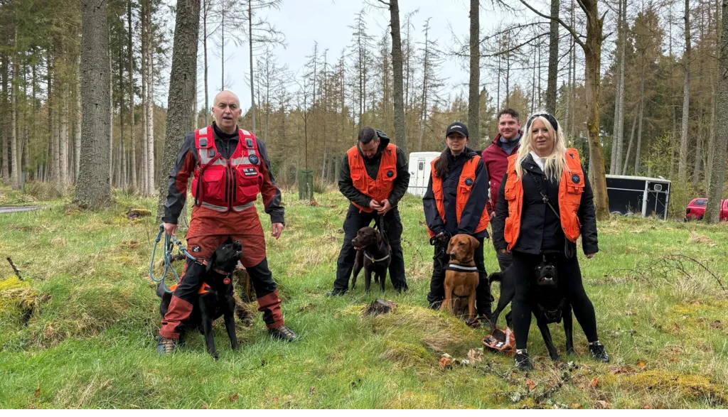 Search and rescue dogs