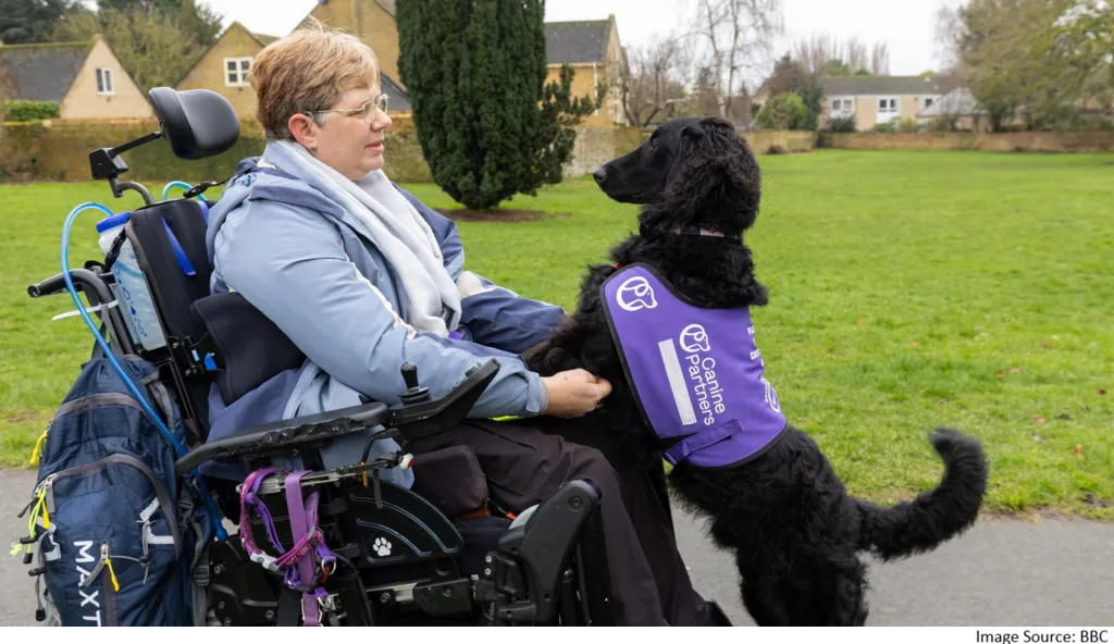 assistance dogs