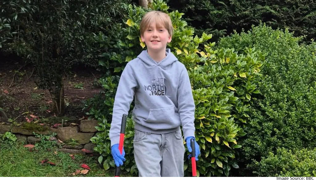 dog waste removal service