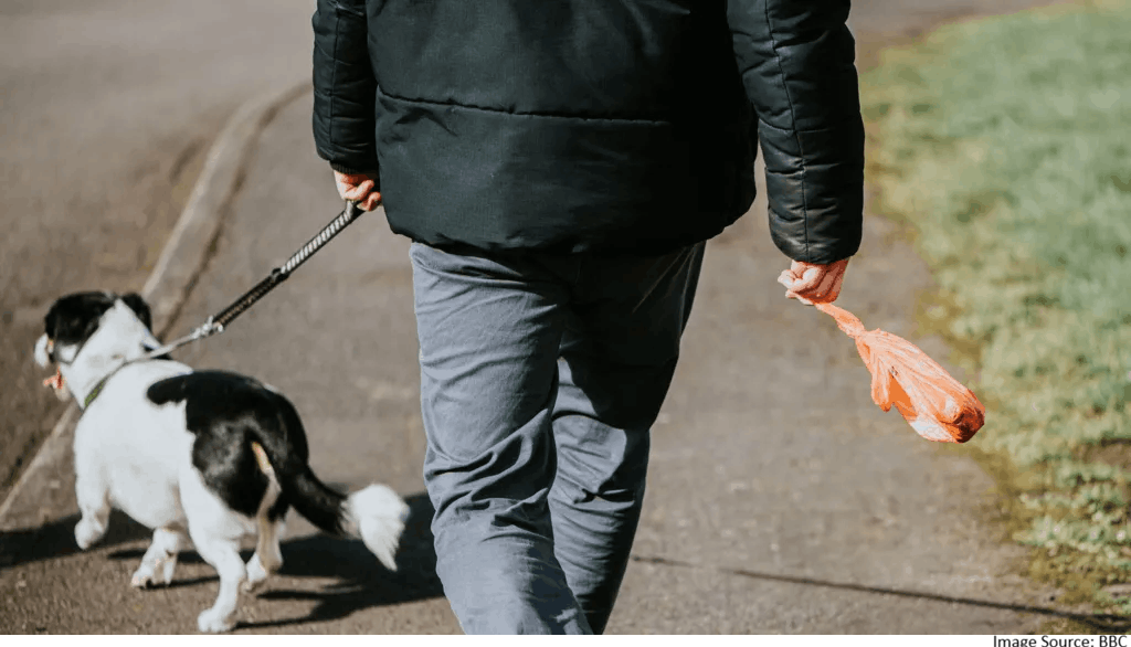 Dog fouling problem