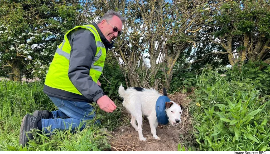 Terrier Rescue Story
