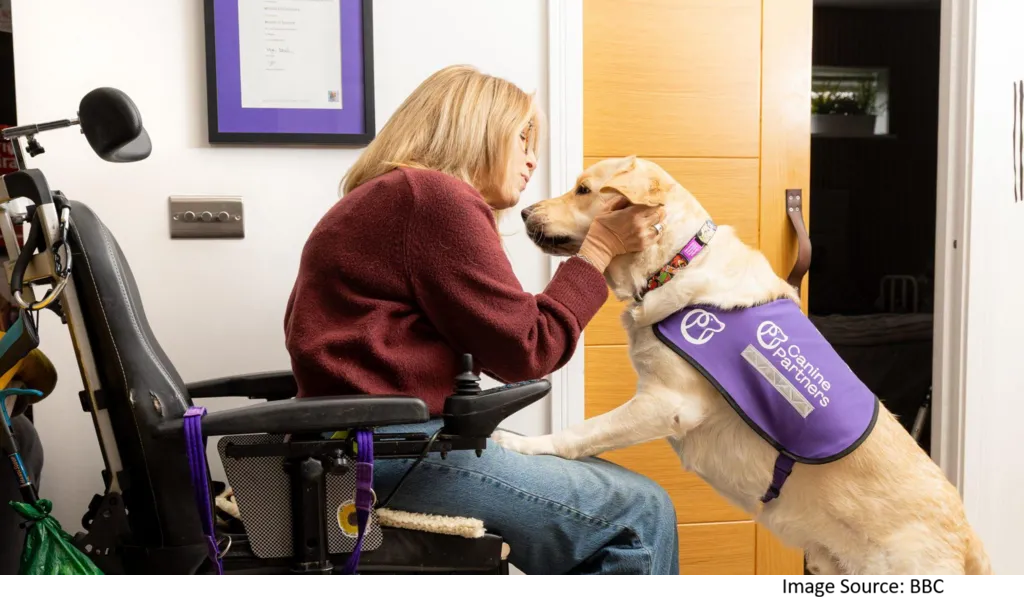 Assistance Dog