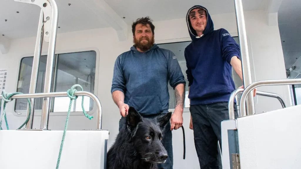 Bruce Dog Rescue