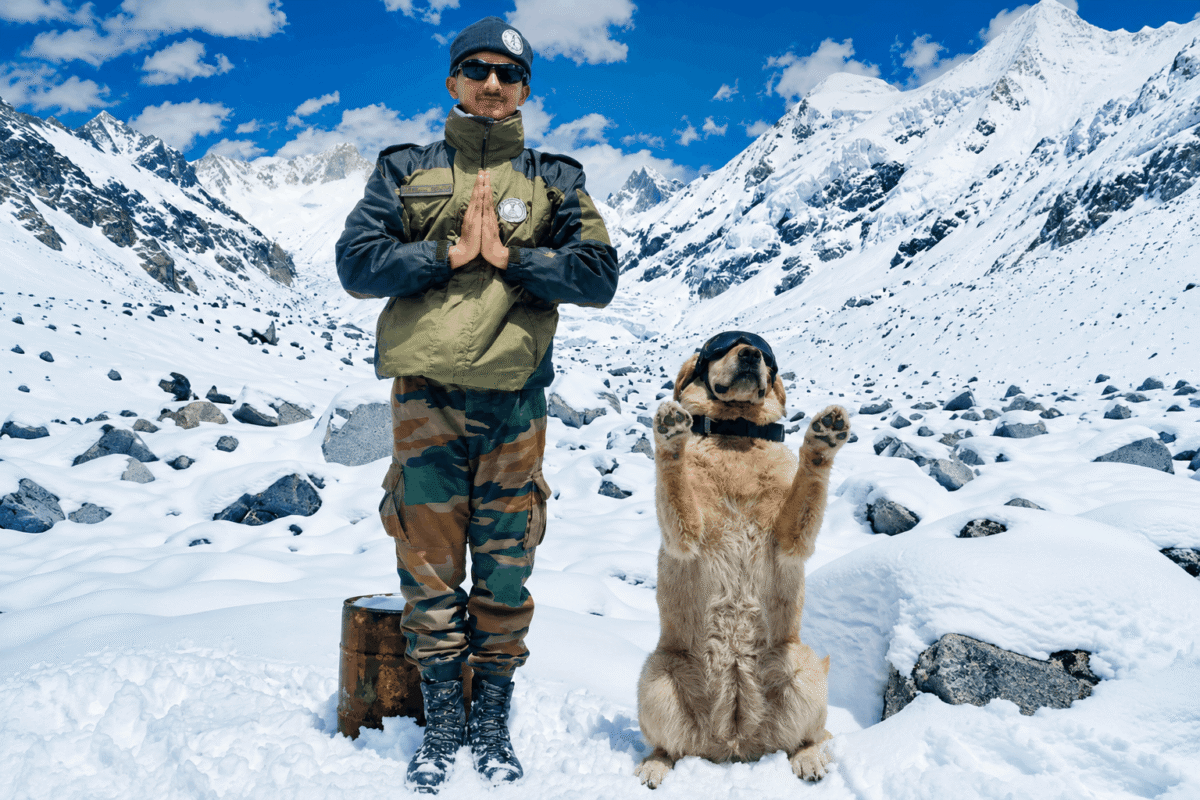 Siachen Sniffers
