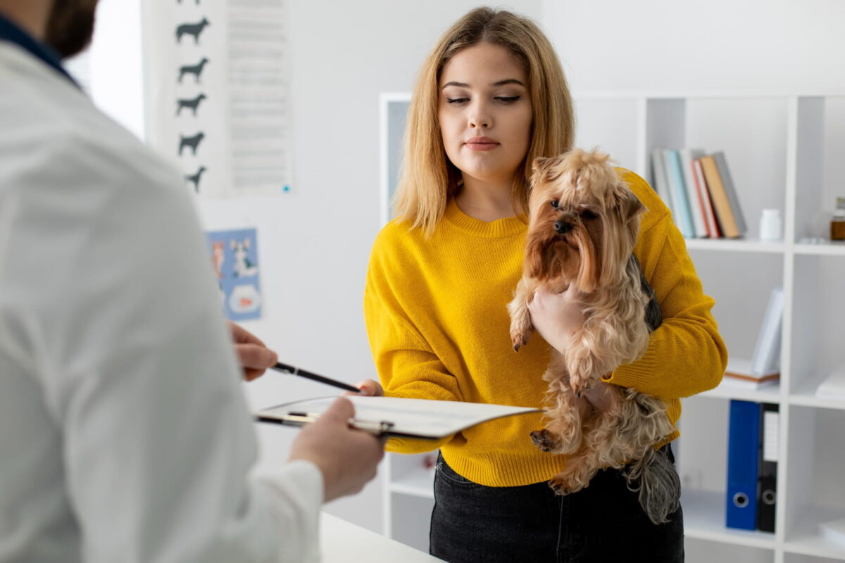 Pet License Awareness