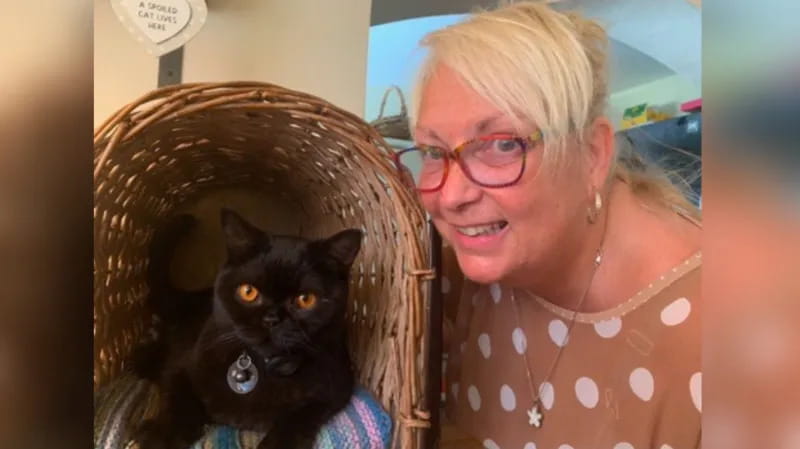 Pet Detective Rescues Cat