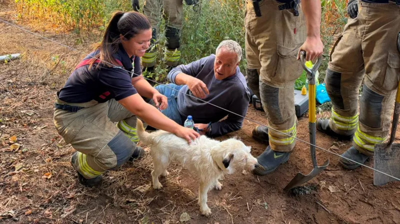 Dog Rescued