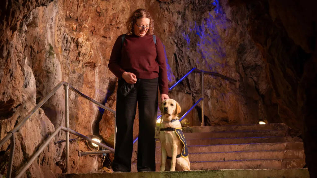 guide dog