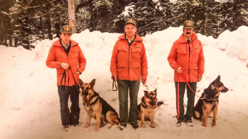 Avalanche Dogs