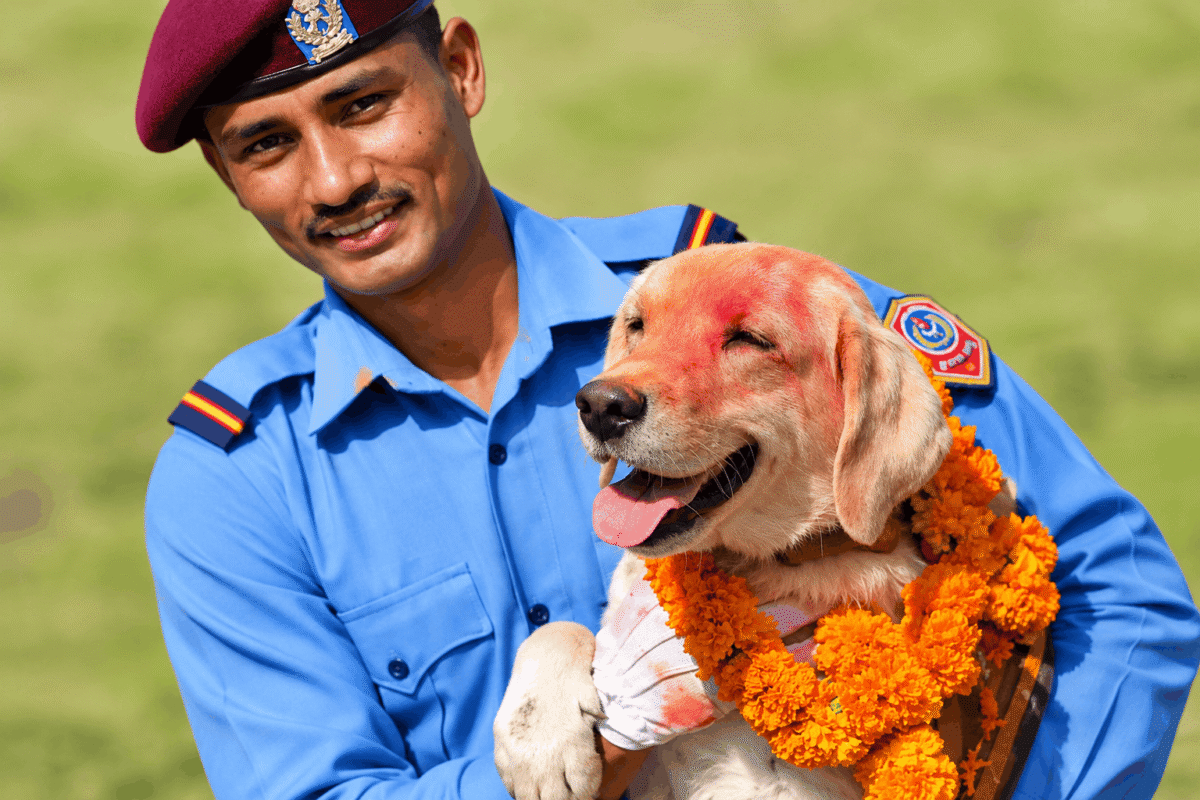 Kukur Tihar