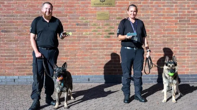 Police Dogs